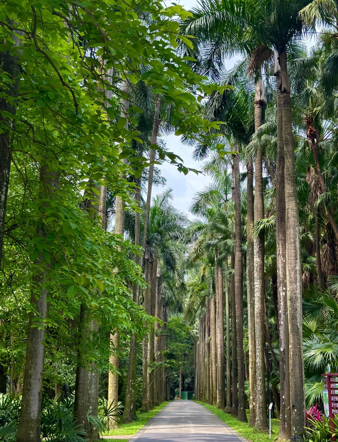 South China National Botanical Garden