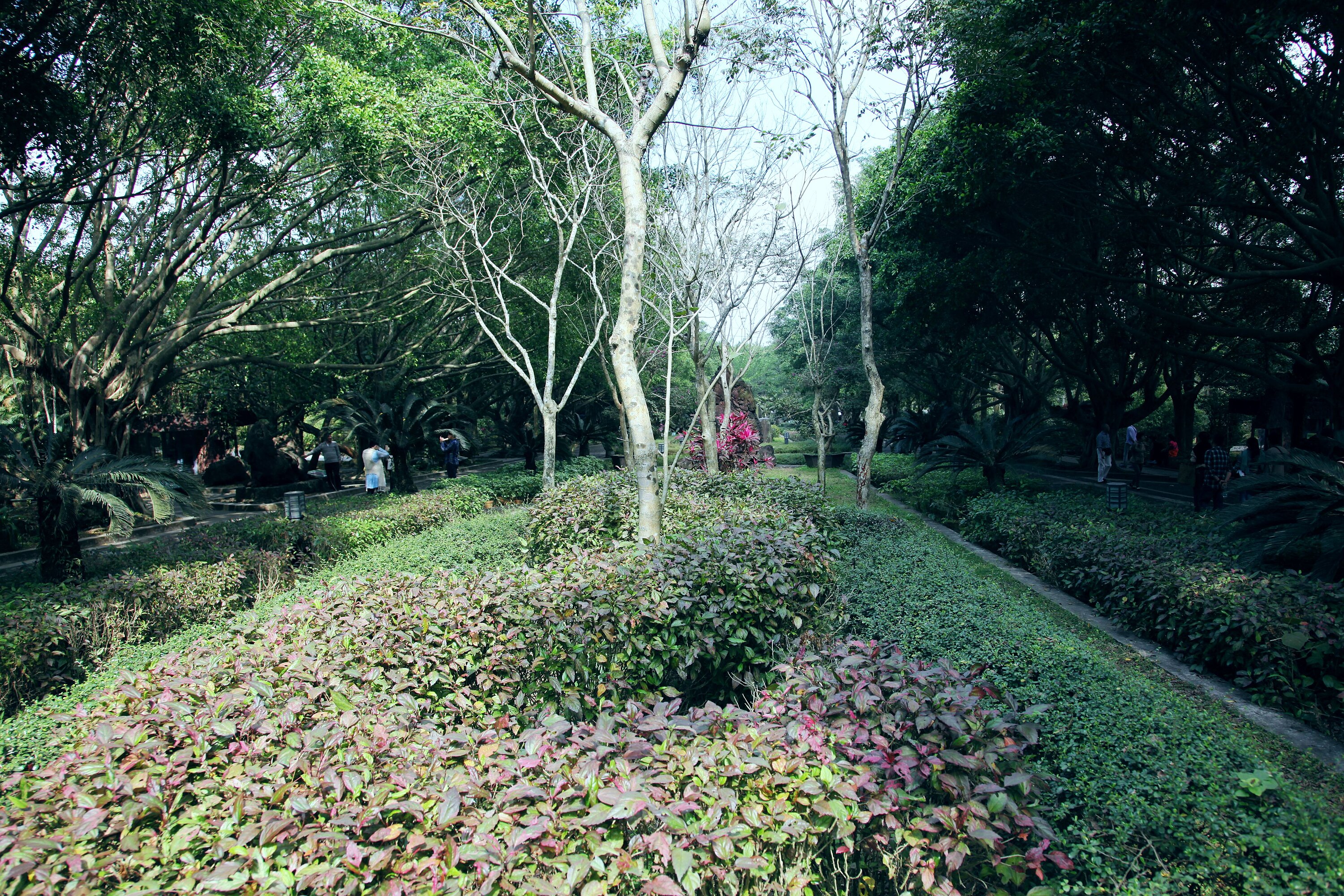 Volcanic Cluster Park in Haikou