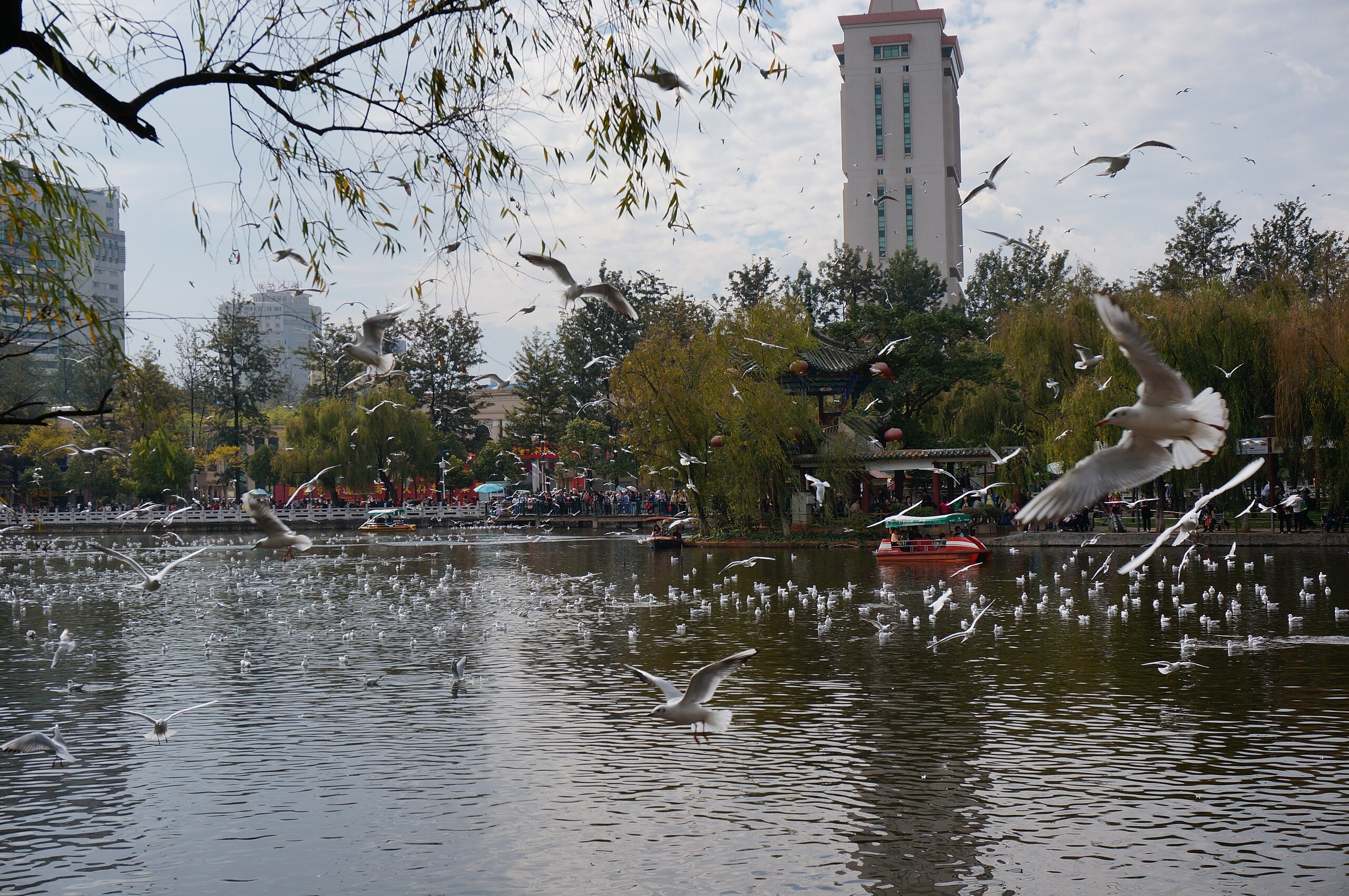 Cuihu Park in Kunming for dental tourism planning