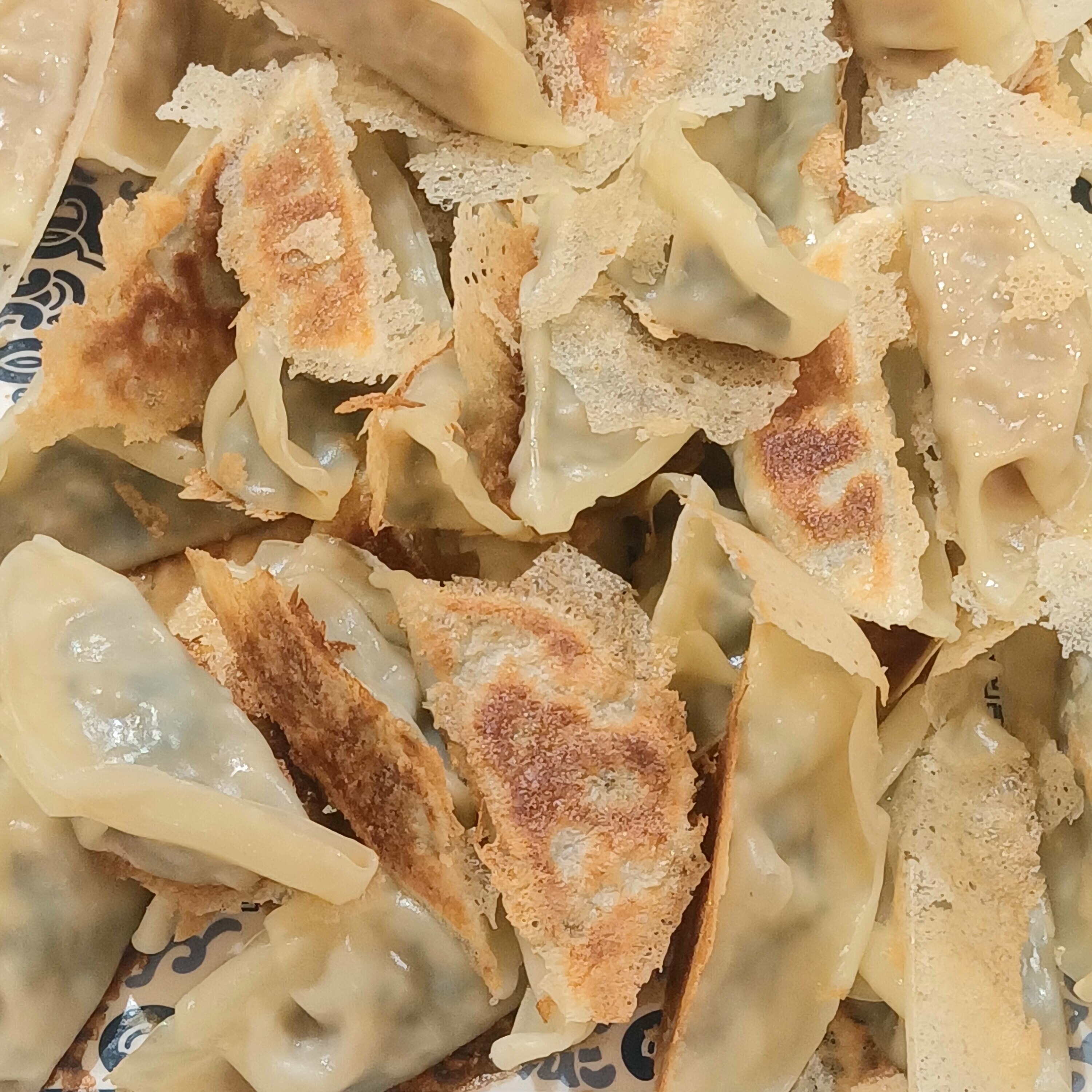 Beef Potstickers in Nanjing