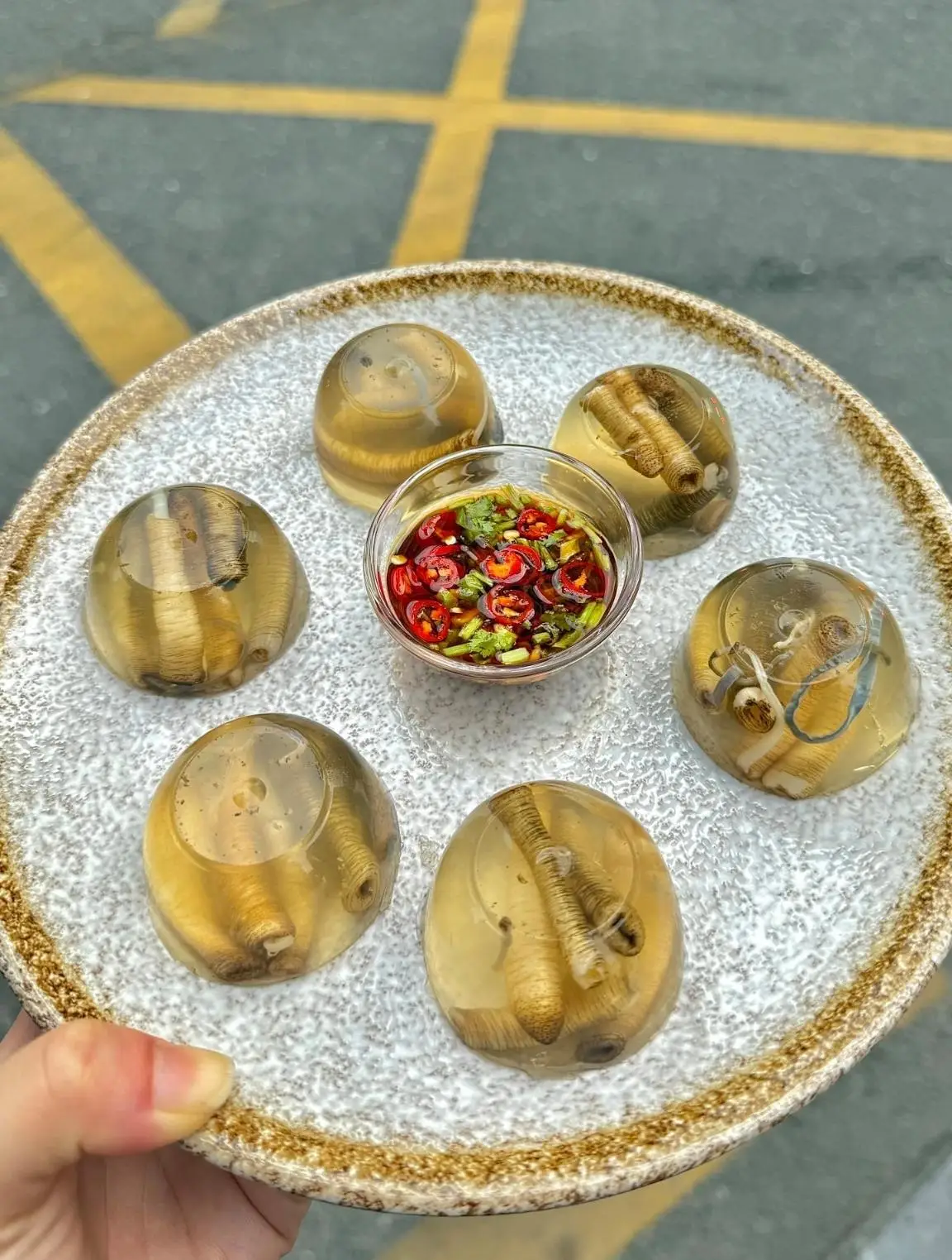 Tusun Sea Worm Jelly in Xiamen